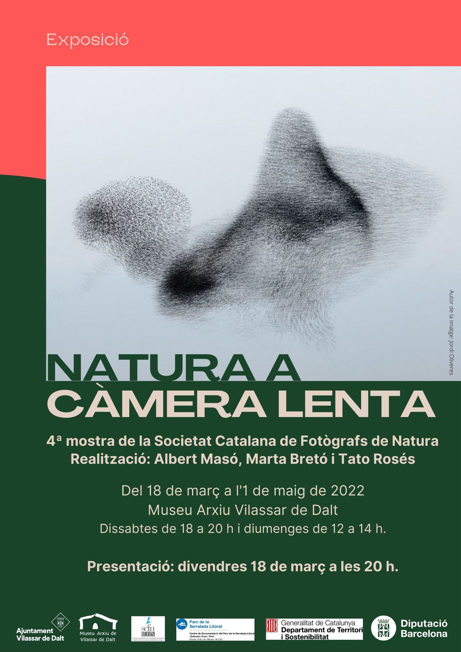 Exposició: Natura a càmera lenta