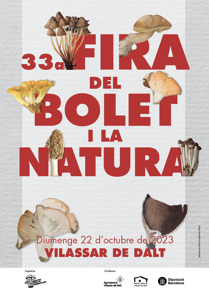 Torna la Fira del bolet