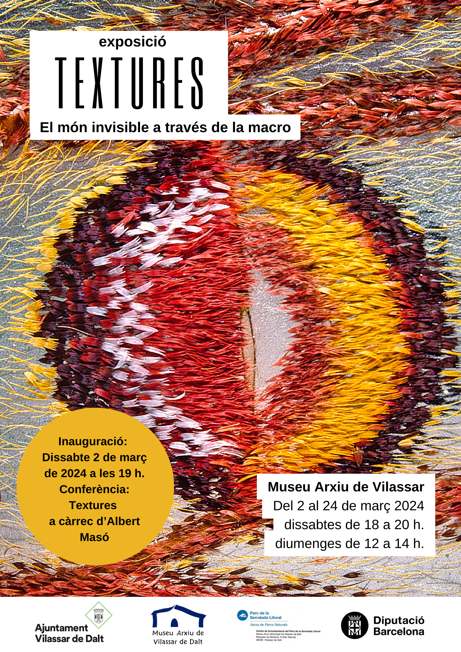 Exposició 'Textures'