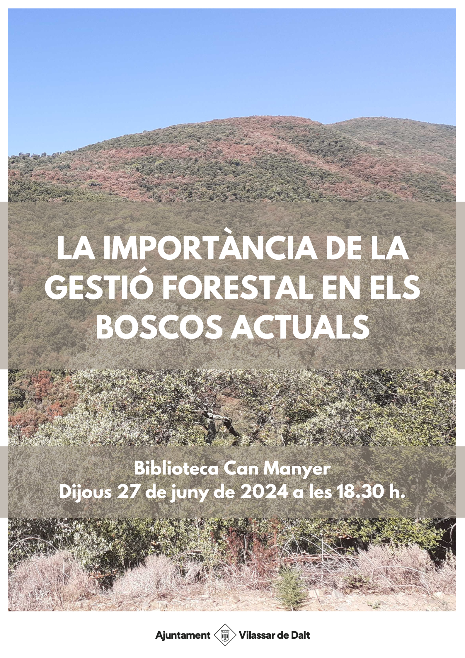Xerrada 'La importància de la gestió forestal en els boscos actuals