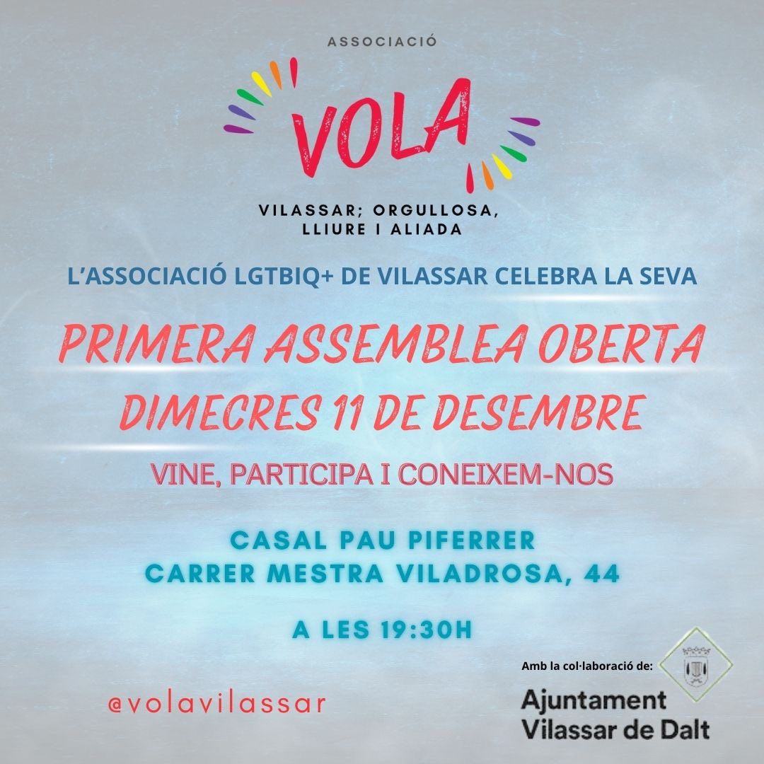 Primera assemblea oberta de l'associació Vola