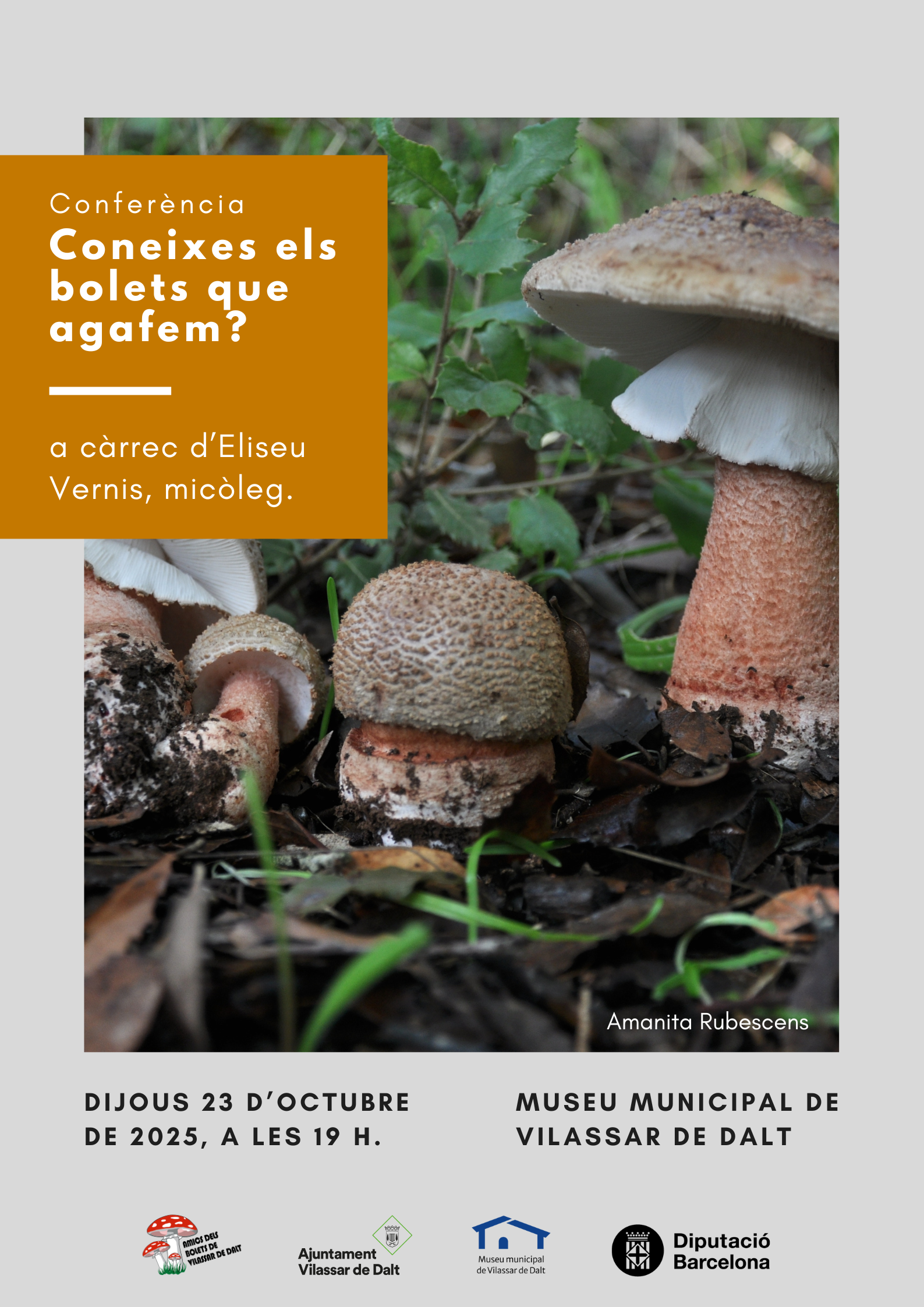 Conferència: 'Coneixes els boles que agafem?'