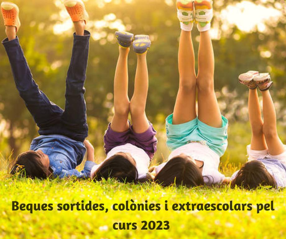 Resolució de les convocatòries per a la concessió d'ajuts per a sortides i colònies escolars i activitats extraescolars pel curs 2022-23