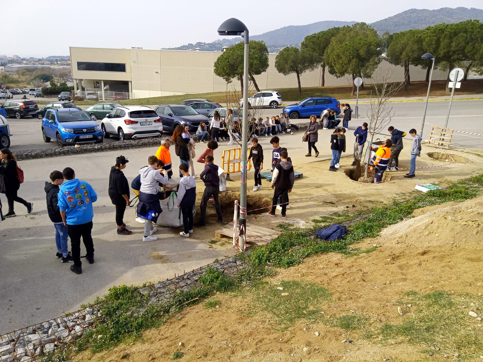 Nou arbrat en el desplegament del Pla de Verd Urbà al municipi