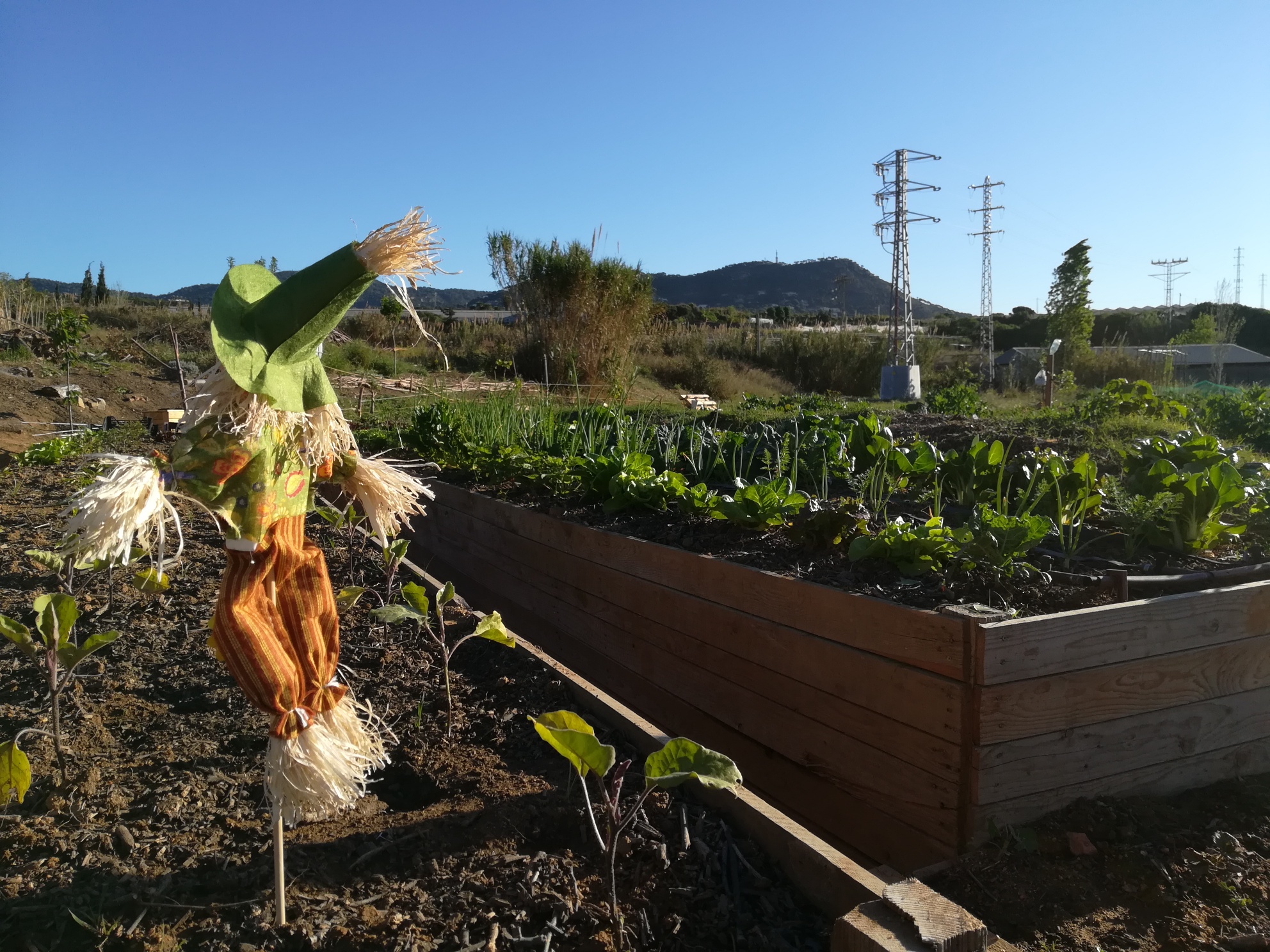 El projecte d'horta comunitària de Vilassar de Dalt, exemple de bones pràctiques