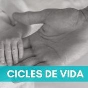 Cicles de vida